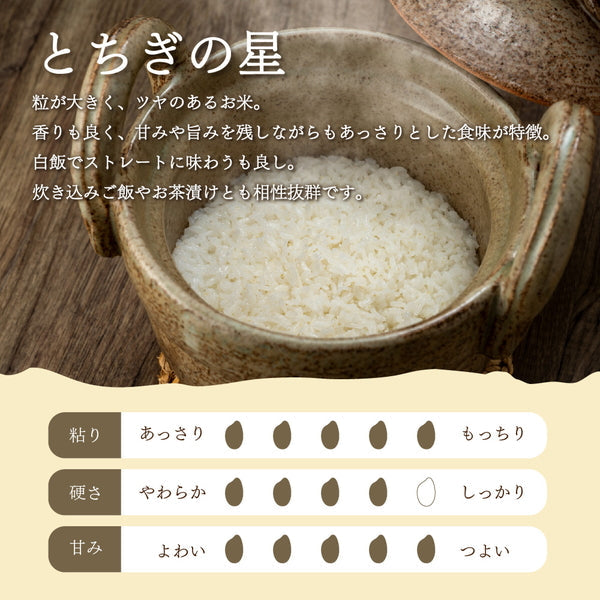 栃木県産とちぎの星 5kg×3袋（合計15kg）