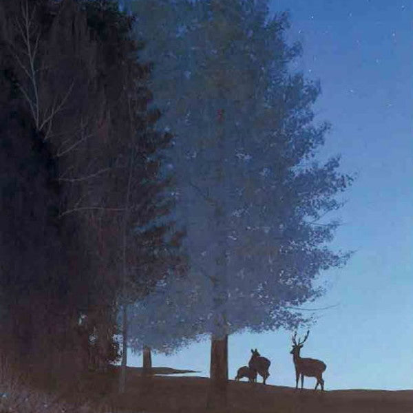 軽井沢ブルワリー軽井沢ビールプレミアムクリア缶クラフトビール350ml【48本】