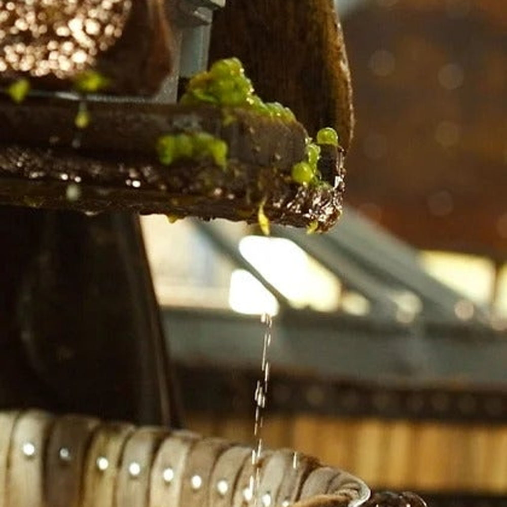 1811年創業シャンパーニュ　ペリエ ジュエ　グラン ブリュット エコロジカル 箱入【750ml×1本】