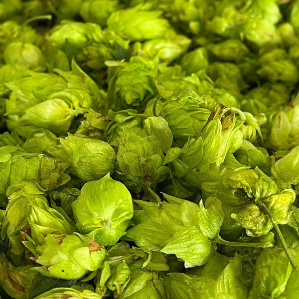 ファーイーストブルーイング Far Yeast IPA 缶 クラフトビール 350ml【24本】