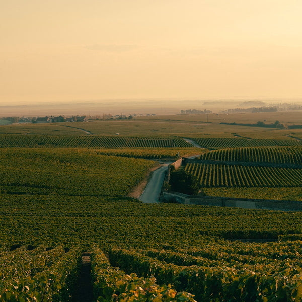 ヴーヴクリコ ロゼ ヴィンテージ 2015 750ml×4本