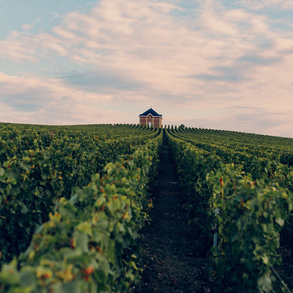 【ギフトカード】モエ・エ・シャンドン グラン ヴィンテージ ロゼ 2016  750ml箱付 1本