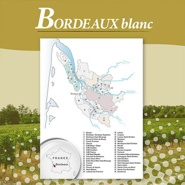 ボルドーブラン5本セット【クール便】