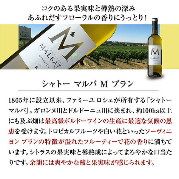 ボルドーブラン5本セット【クール便】