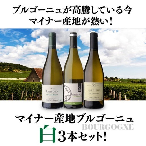 マイナーブルゴーニュ白3本セット【常温便】