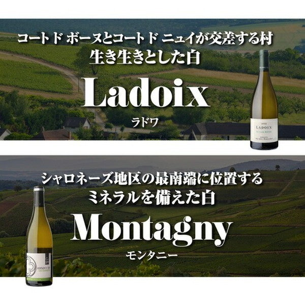 マイナーブルゴーニュ白3本セット【常温便】