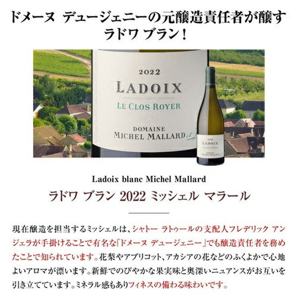 マイナーブルゴーニュ白3本セット【常温便】