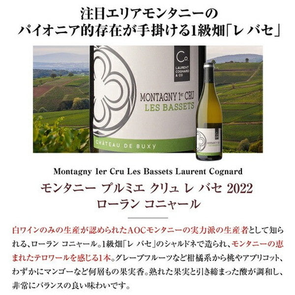 マイナーブルゴーニュ白3本セット【常温便】