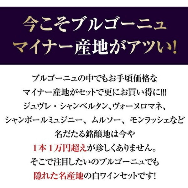 マイナーブルゴーニュ白3本セット【クール便】