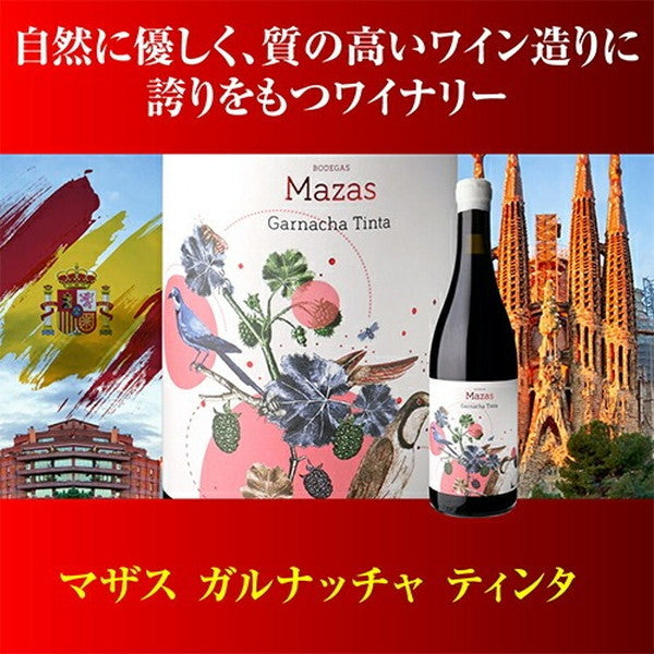 情熱のスペイン赤ワイン9本セット【常温便】