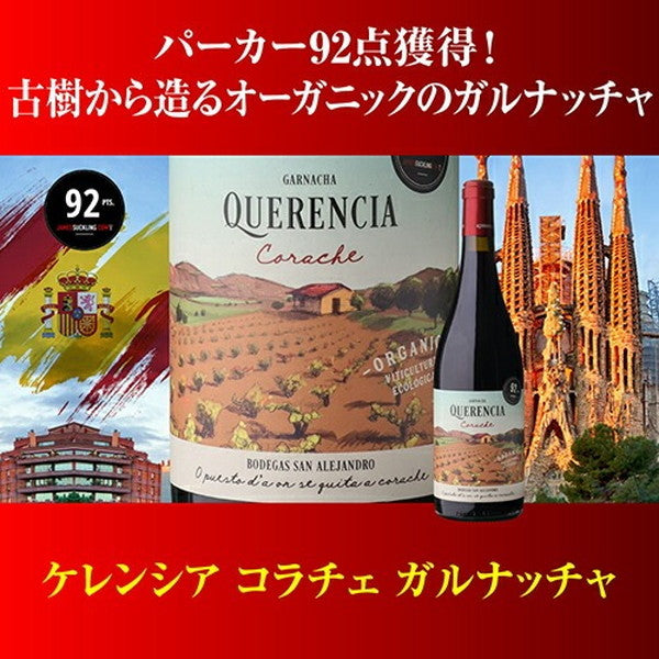 情熱のスペイン赤ワイン9本セット【常温便】