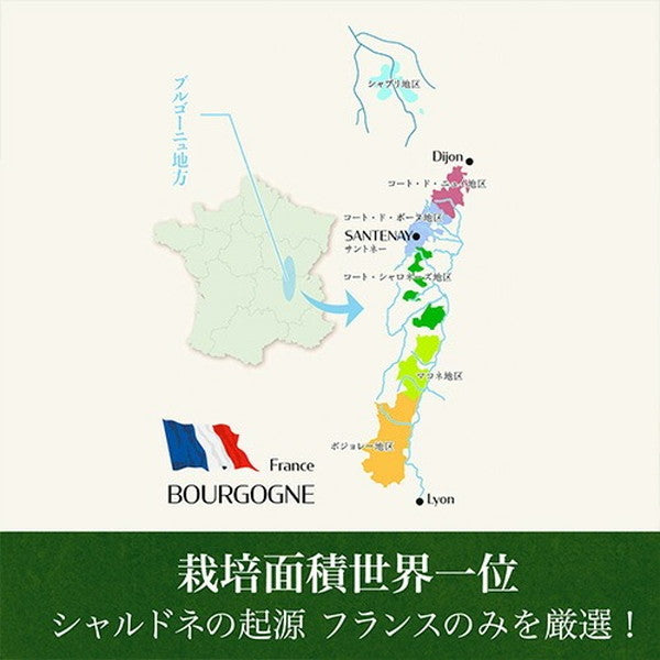 フランス産シャルドネ5本セット【常温便】