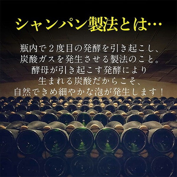 シャンパン製法 辛口泡6本セット【常温便】