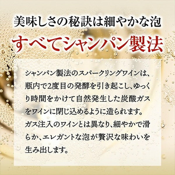 フランスシャンパン製法6本セット【クール便】