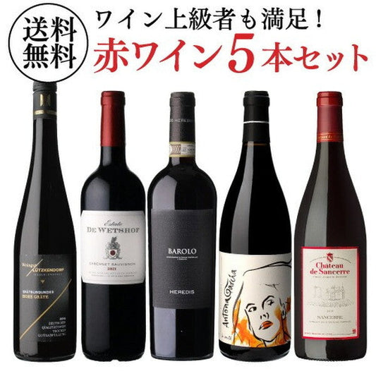 自信を持っておすすめする ワイン上級者も満足！赤ワイン5本セット【クール便】