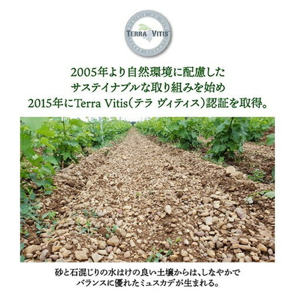 熟成ミュスカデ オー ブール 3本セット【常温便】