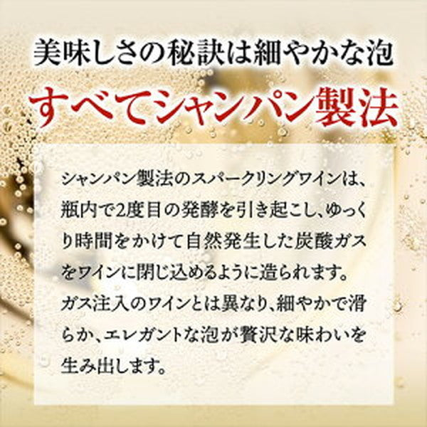 フランスシャンパン製法6本セット【常温便】