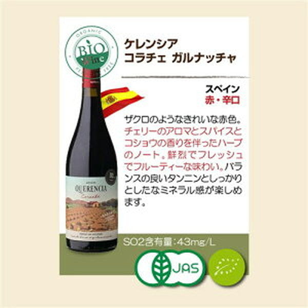ビオワイン 10本セット 【クール便】