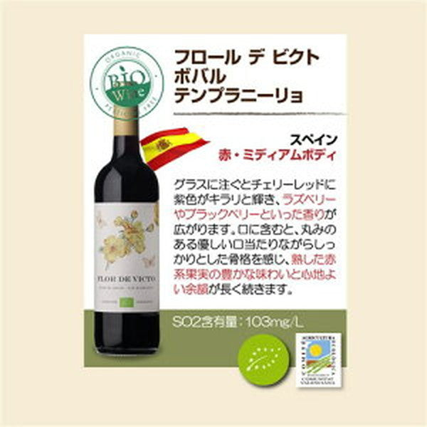 ビオワイン 10本セット 【クール便】