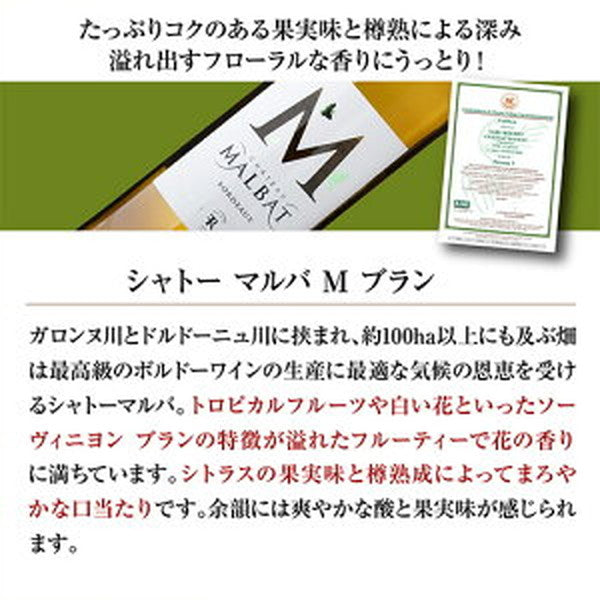 ボルドー＆ガスコーニュ　ブラン6本【クール便】