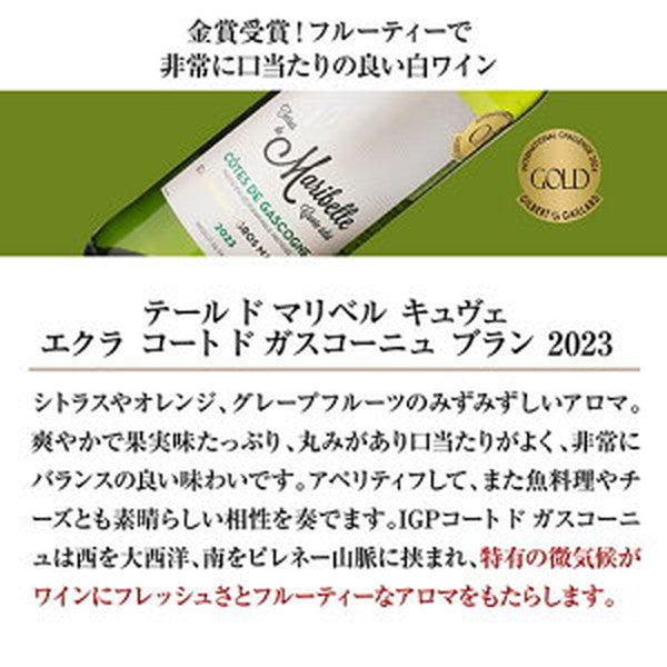 ボルドー＆ガスコーニュ　ブラン6本【クール便】