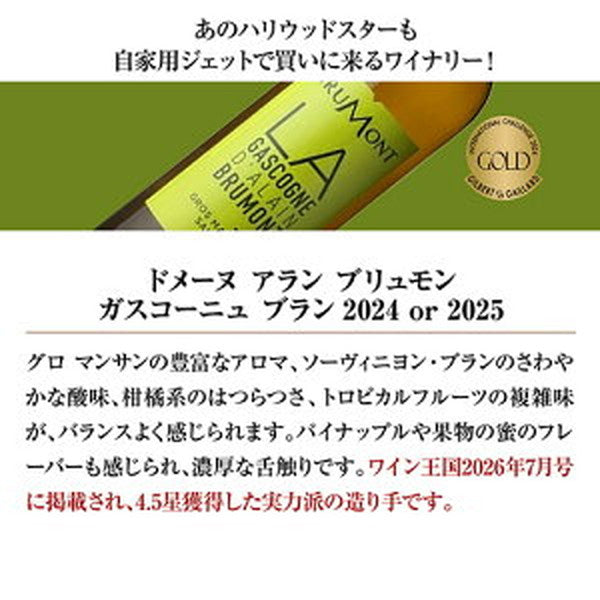 ボルドー＆ガスコーニュ　ブラン6本【クール便】