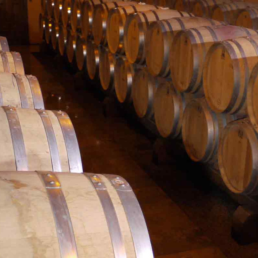 【ギフトカード】マコン ヴィラージュ フランス(白ワイン)