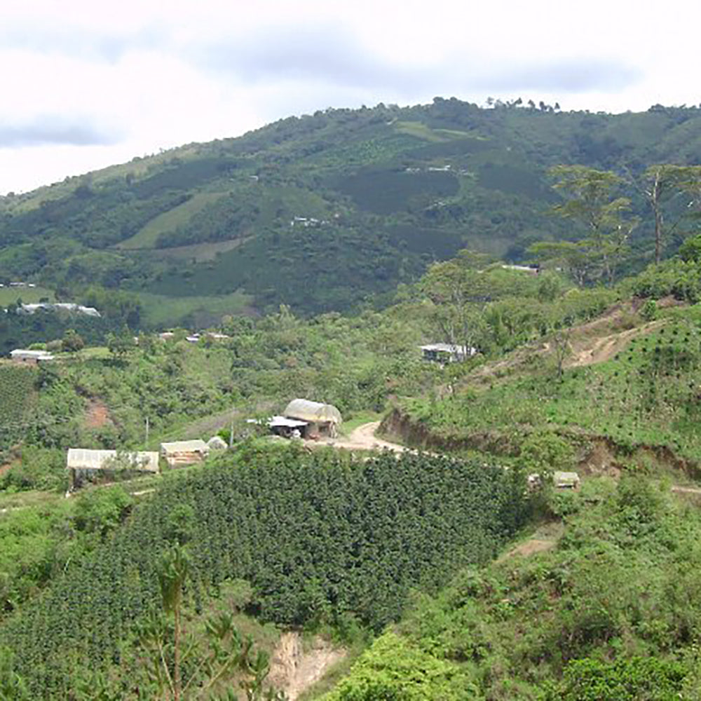 「ダートコーヒー」アイスコーヒー オーガニック無糖【1000ml x 6本】