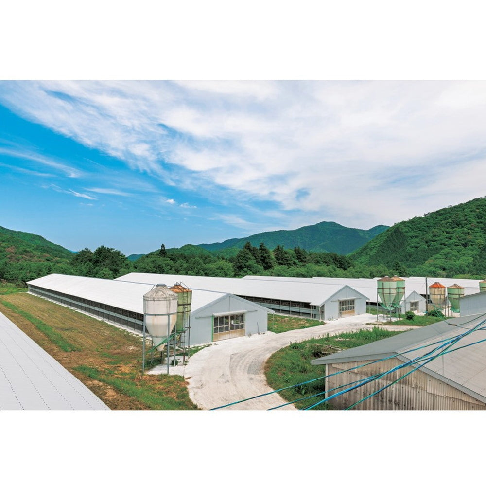 秋川牧園の卵でつくったたまご村プリン４個