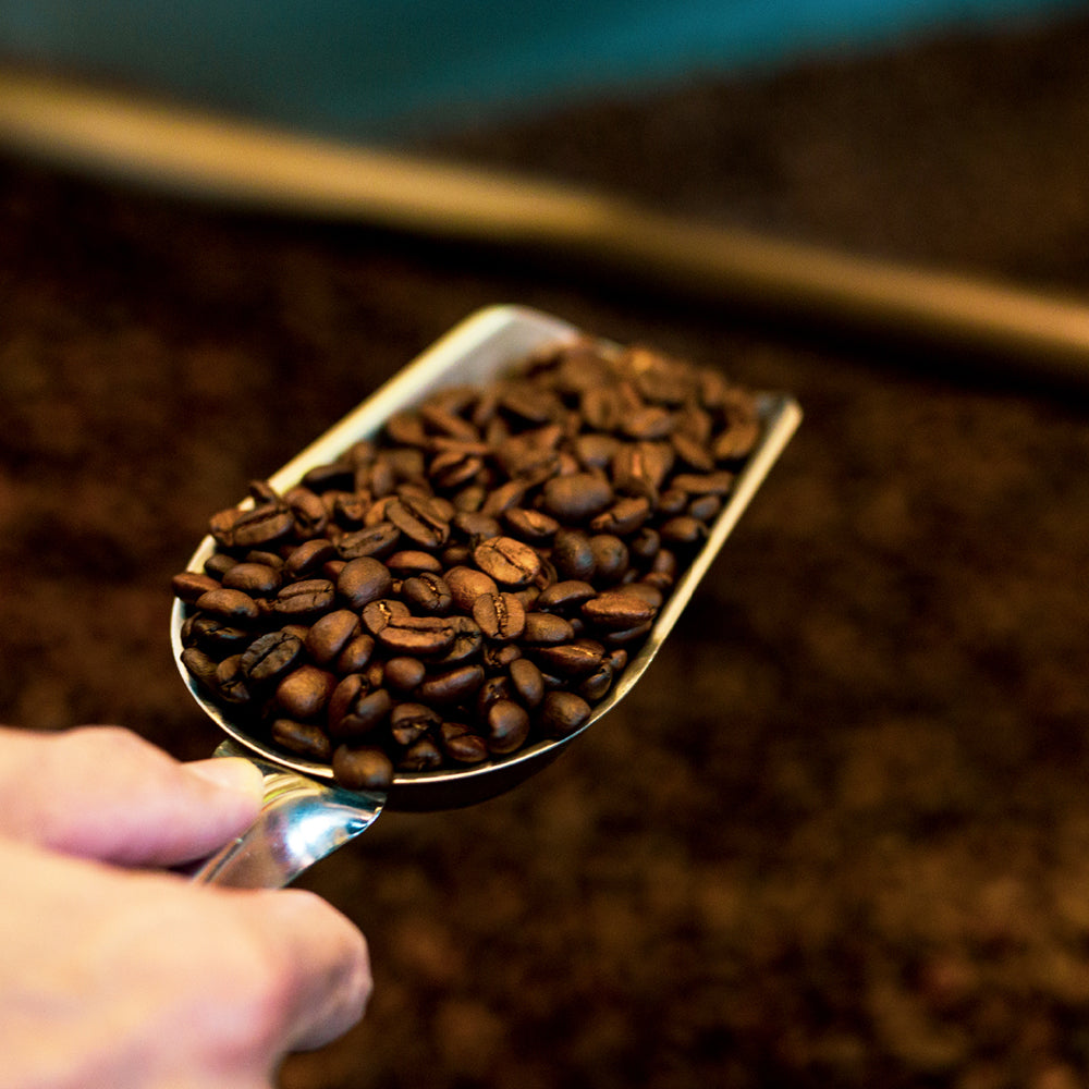 「ダートコーヒー」炭火焼珈琲カステラ・珈琲羊羹詰め合わせ【各2本】