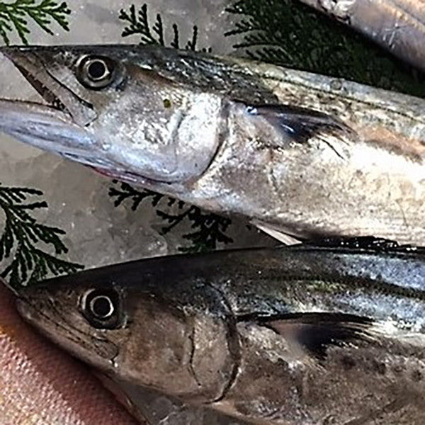 【ギフトカード】出水田鮮魚　干物セットA