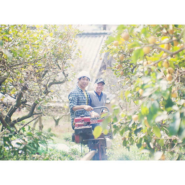 【ギフトカード】スパークリングレモン酒 ミカドレモン/ MIKADO LEMON Sparkling lemon sake(750ml 化粧箱入り)