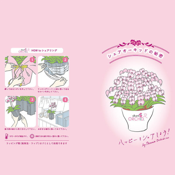 【ギフトカード】シェアオーキッド・10人分(10号鉢10本立ち 濃ピンク)