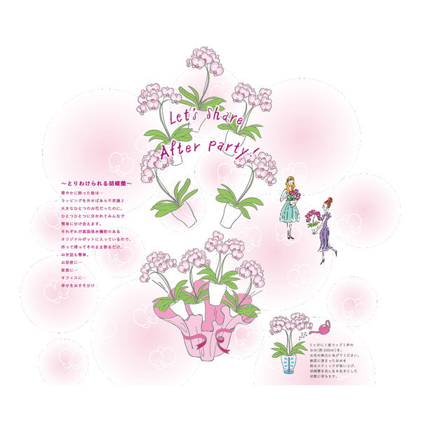 【ギフトカード】シェアオーキッド・10人分(10号鉢10本立ち イエロー系)